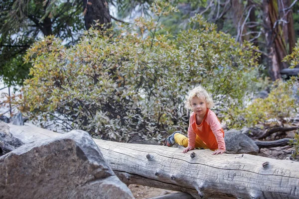 Chłopiec Odwiedź Sequoia National Park Kalifornii Usa — Zdjęcie stockowe