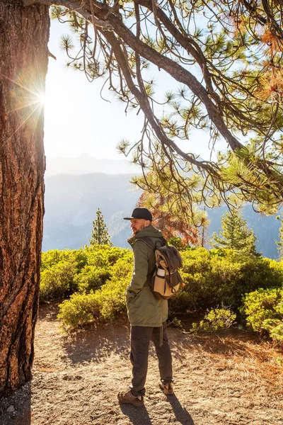 Hiker Mengunjungi Taman Nasional Yosemite California — Stok Foto