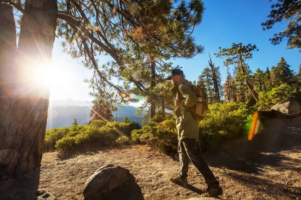 Turista Navštívit Yosemitský Národní Park Kalifornii — Stock fotografie