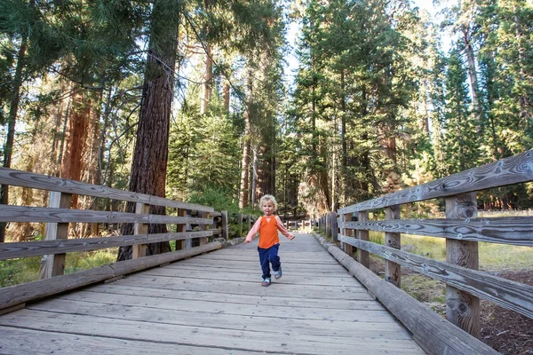 Anak Mengunjungi Sequoia Taman Nasional California Amerika Serikat — Stok Foto