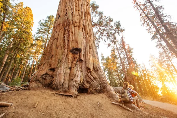 Οικογένεια Αγόρι Επισκεφτείτε Εθνικό Πάρκο Sequoia Καλιφόρνια Ηπα — Φωτογραφία Αρχείου
