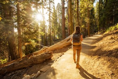 Uzun yürüyüşe çıkan kimse Sequoia national park California, ABD