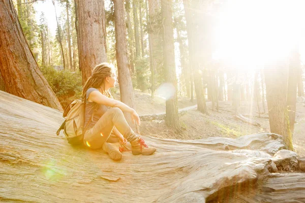 Escursionista Nel Parco Nazionale Sequoia California Usa — Foto Stock