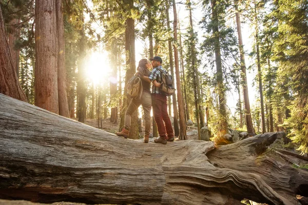 Pár Národním Parku Sequoia Kalifornii Usa — Stock fotografie