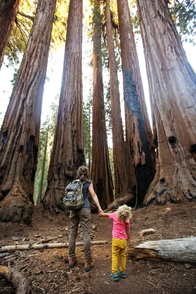 Aile Ile Çocuk Ziyaret Sequoia National Park California Abd — Stok fotoğraf