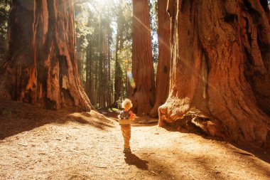 çocuk ziyaret Sequoia national park California, ABD