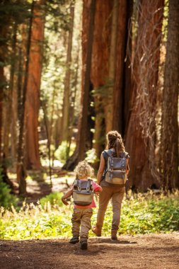 Aile ile çocuk ziyaret Sequoia national park California, ABD