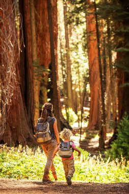 Aile ile çocuk ziyaret Sequoia national park California, ABD
