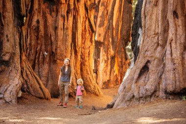 Aile ile çocuk ziyaret Sequoia national park California, ABD