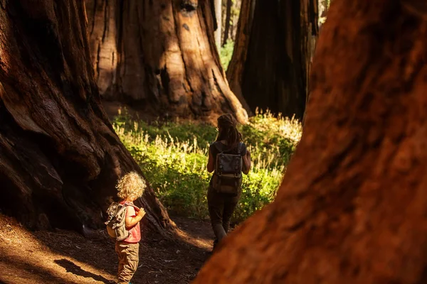 Familj Med Pojke Besöka Sequoia Nationalpark Kalifornien Usa — Stockfoto