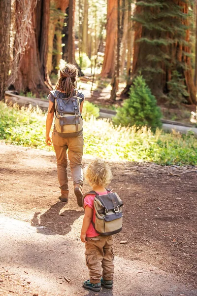 Keluarga Dengan Anak Laki Laki Mengunjungi Taman Nasional Sequoia California — Stok Foto