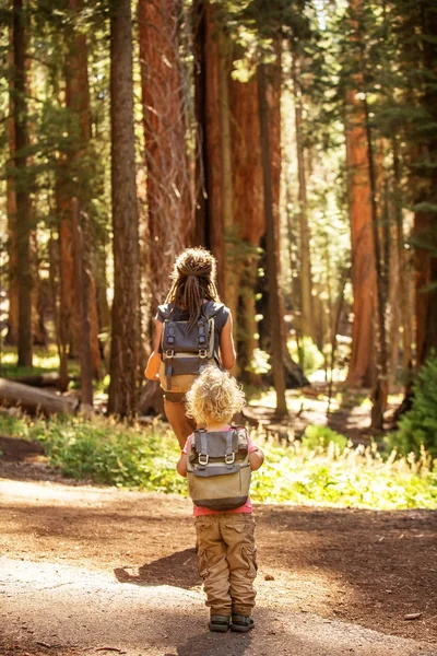 Keluarga Dengan Anak Laki Laki Mengunjungi Taman Nasional Sequoia California — Stok Foto