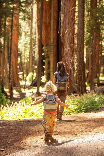Familj Med Pojke Besöka Sequoia Nationalpark Kalifornien Usa — Stockfoto