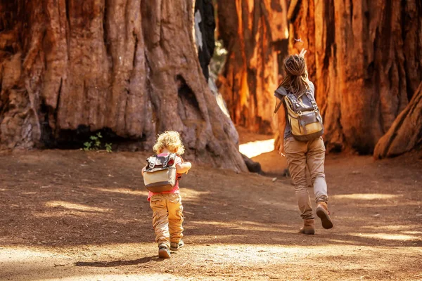 Familj Med Pojke Besöka Sequoia Nationalpark Kalifornien Usa — Stockfoto