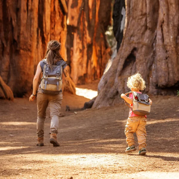 Látogasson Család Fiú Sequoia Nemzeti Park Kalifornia Usa — Stock Fotó