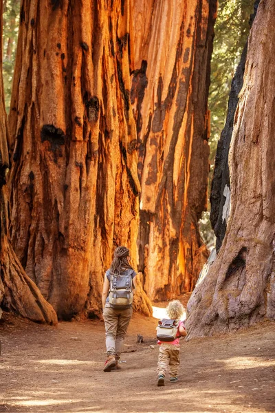 Família Com Menino Visita Parque Nacional Sequoia Califórnia Eua — Fotografia de Stock