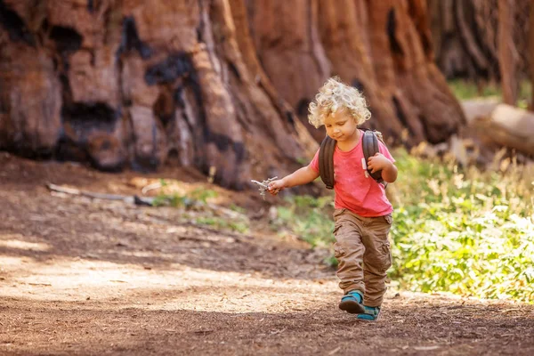 Pojke Besöka Sequoia Nationalpark Kalifornien Usa — Stockfoto