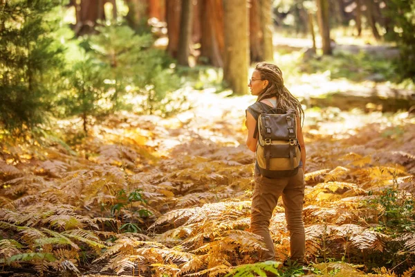 Turysta Sequoia National Park Kalifornii Usa — Zdjęcie stockowe