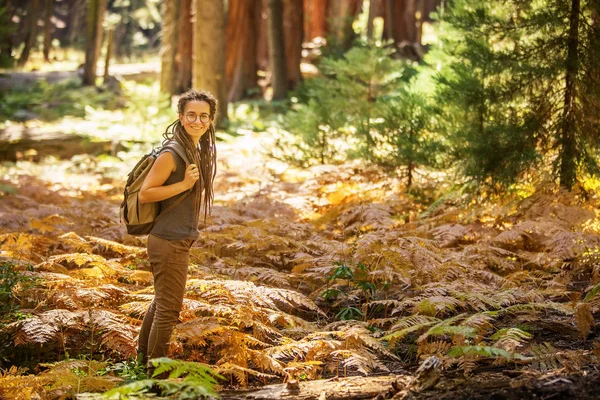 Uzun yürüyüşe çıkan kimse Sequoia national park California, ABD