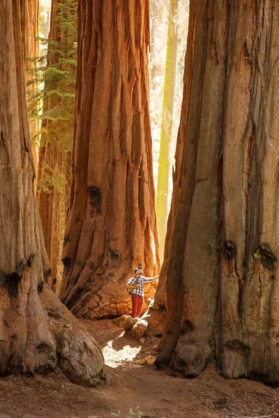 Turista Národním Parku Sequoia Kalifornii Usa — Stock fotografie