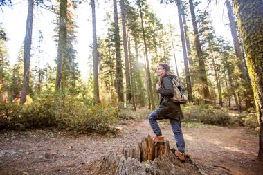 California yakınlarındaki Yosimite Ulusal Parkı 'nda bir kadın.