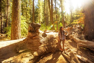 California yakınlarındaki Yosimite Ulusal Parkı 'nda bir kadın.