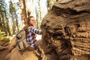 California yakınlarındaki Yosimite Ulusal Parkı 'nda bir kadın.