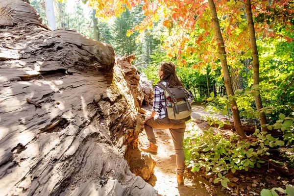 Kvinna Yosimite Nationalpark Nära Sequoia Kalifornien Usa — Stockfoto