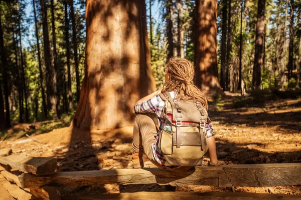 Perempuan Taman Nasional Yosimite Dekat Sequoia California Amerika Serikat — Stok Foto