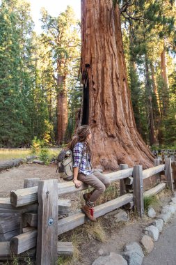 Uzun yürüyüşe çıkan kimse Sequoia national park California, ABD