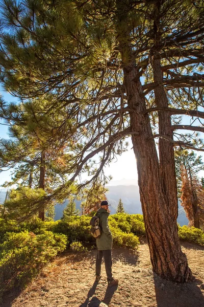 Hiker Visit Yosemite National Park California — Stock Photo, Image