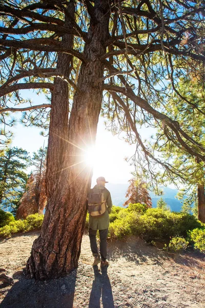 Hiker Mengunjungi Taman Nasional Yosemite California — Stok Foto