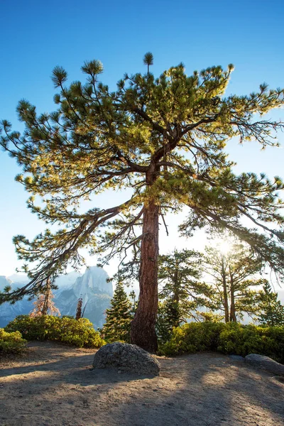 Vistas Espectaculares Del Parque Nacional Yosemite Otoño California — Foto de Stock