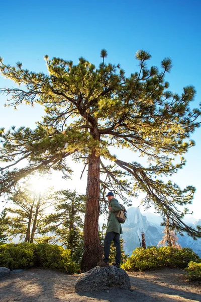 Természetjáró Keresse Fel Yosemite Nemzeti Park Kaliforniában — Stock Fotó