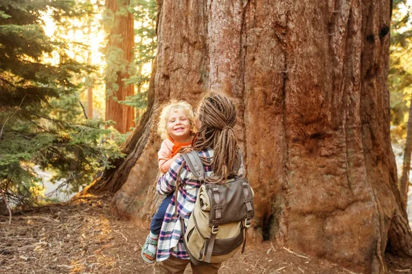 Rodziny Chłopcem Odwiedź Sequoia National Park Kalifornii Usa — Zdjęcie stockowe
