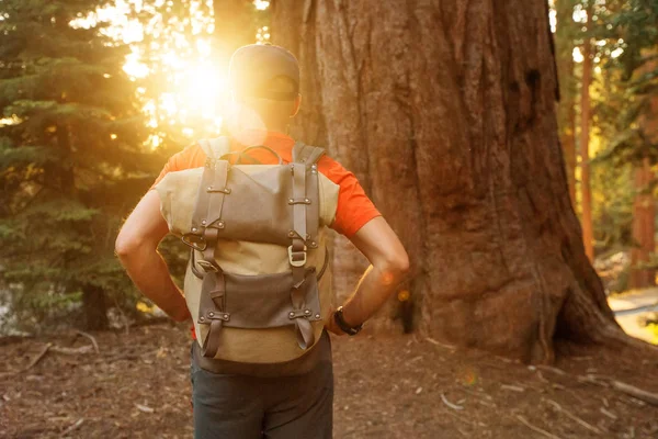 Turista Národním Parku Sequoia Kalifornii Usa — Stock fotografie