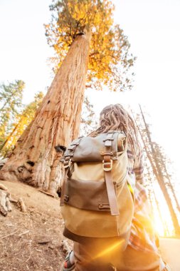 Uzun yürüyüşe çıkan kimse Sequoia national park California, ABD