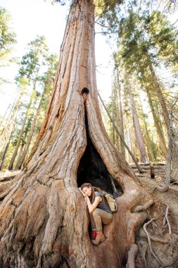 Uzun yürüyüşe çıkan kimse Sequoia national park California, ABD