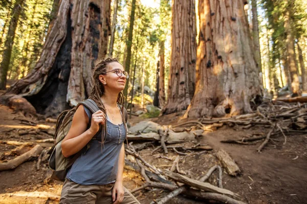 Hiker Sequoia Taman Nasional California Amerika Serikat — Stok Foto