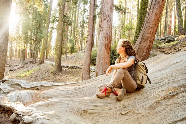 Turysta Sequoia National Park Kalifornii Usa — Zdjęcie stockowe