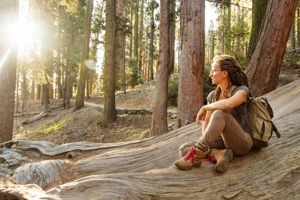 Hiker Sequoia Taman Nasional California Amerika Serikat — Stok Foto