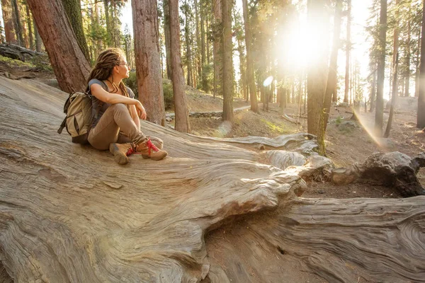 Escursionista Nel Parco Nazionale Sequoia California Usa — Foto Stock