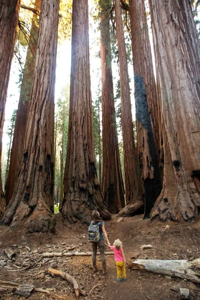 Aile Ile Çocuk Ziyaret Sequoia National Park California Abd — Stok fotoğraf