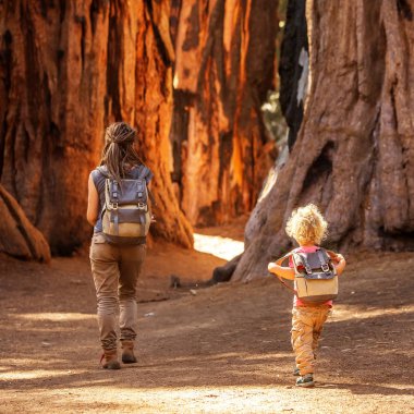Aile ile çocuk ziyaret Sequoia national park California, ABD