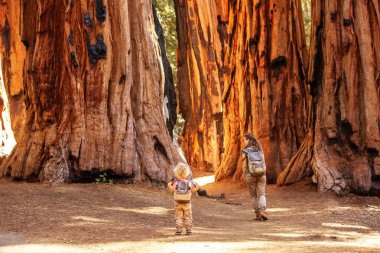 Aile ile çocuk ziyaret Sequoia national park California, ABD