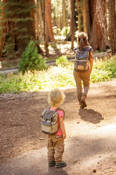 Keluarga Dengan Anak Laki Laki Mengunjungi Taman Nasional Sequoia California — Stok Foto