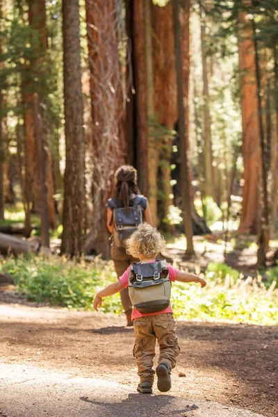 Keluarga Dengan Anak Laki Laki Mengunjungi Taman Nasional Sequoia California — Stok Foto