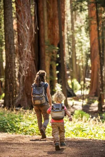 Aile Ile Çocuk Ziyaret Sequoia National Park California Abd — Stok fotoğraf
