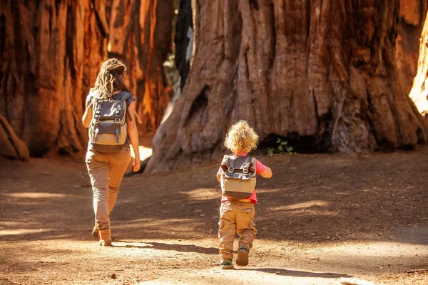 Rodina Chlapcem Návštěva Národního Parku Sequoia Kalifornii Usa — Stock fotografie