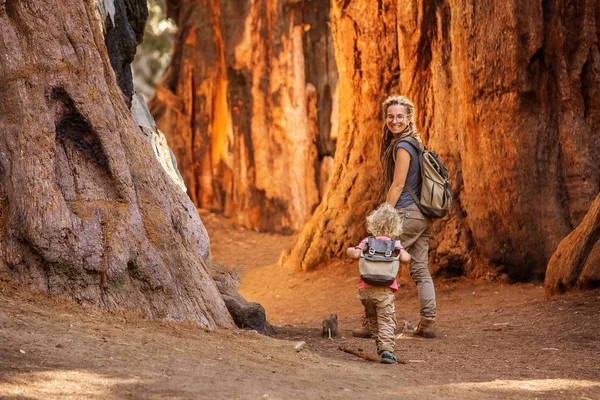 Rodziny Chłopcem Odwiedź Sequoia National Park Kalifornii Usa — Zdjęcie stockowe